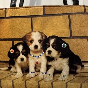 Vintage Puppy Dog Novelty Purse Cavalier Spaniel Tote Bag